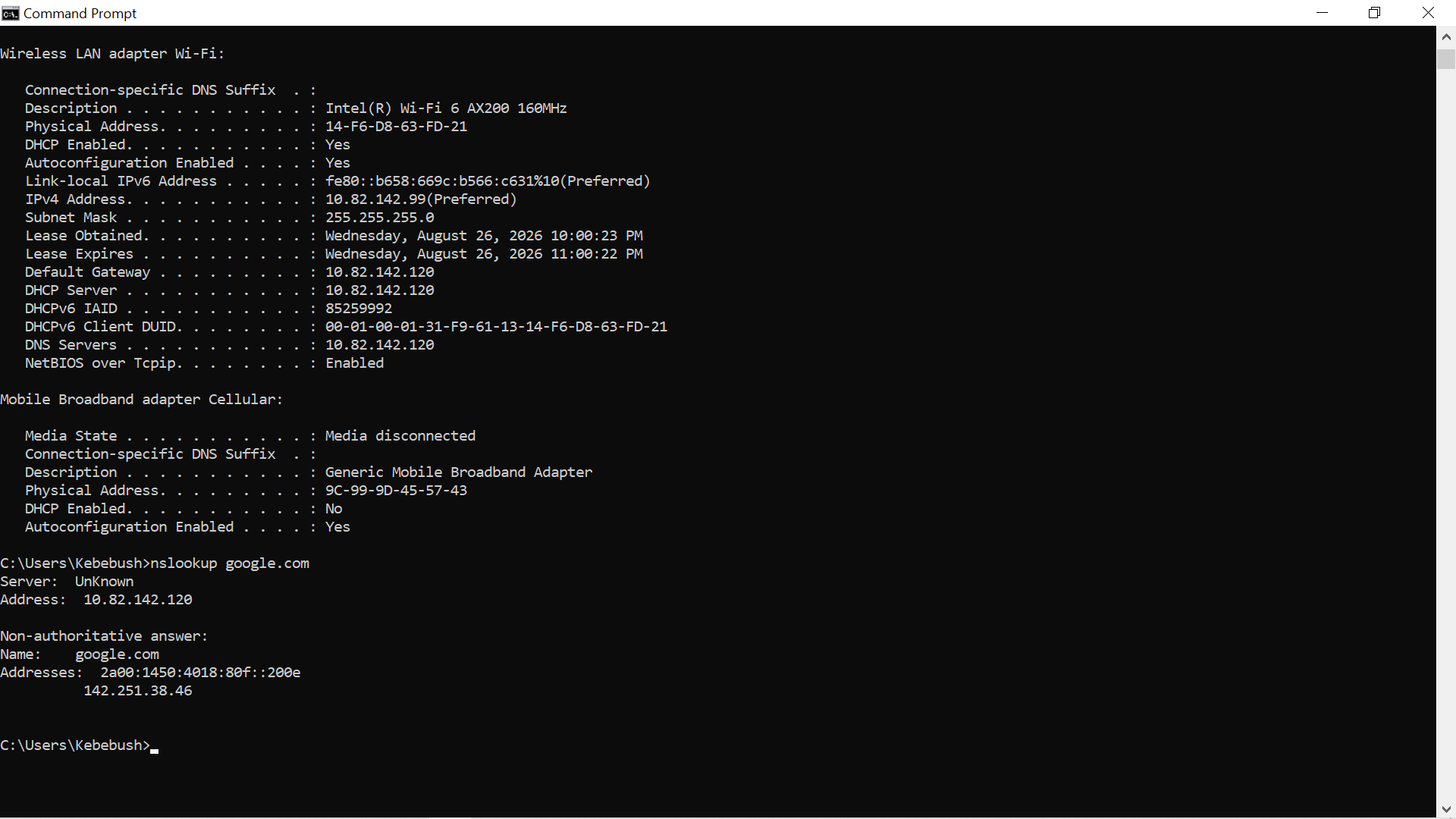 Initial DNS lookup