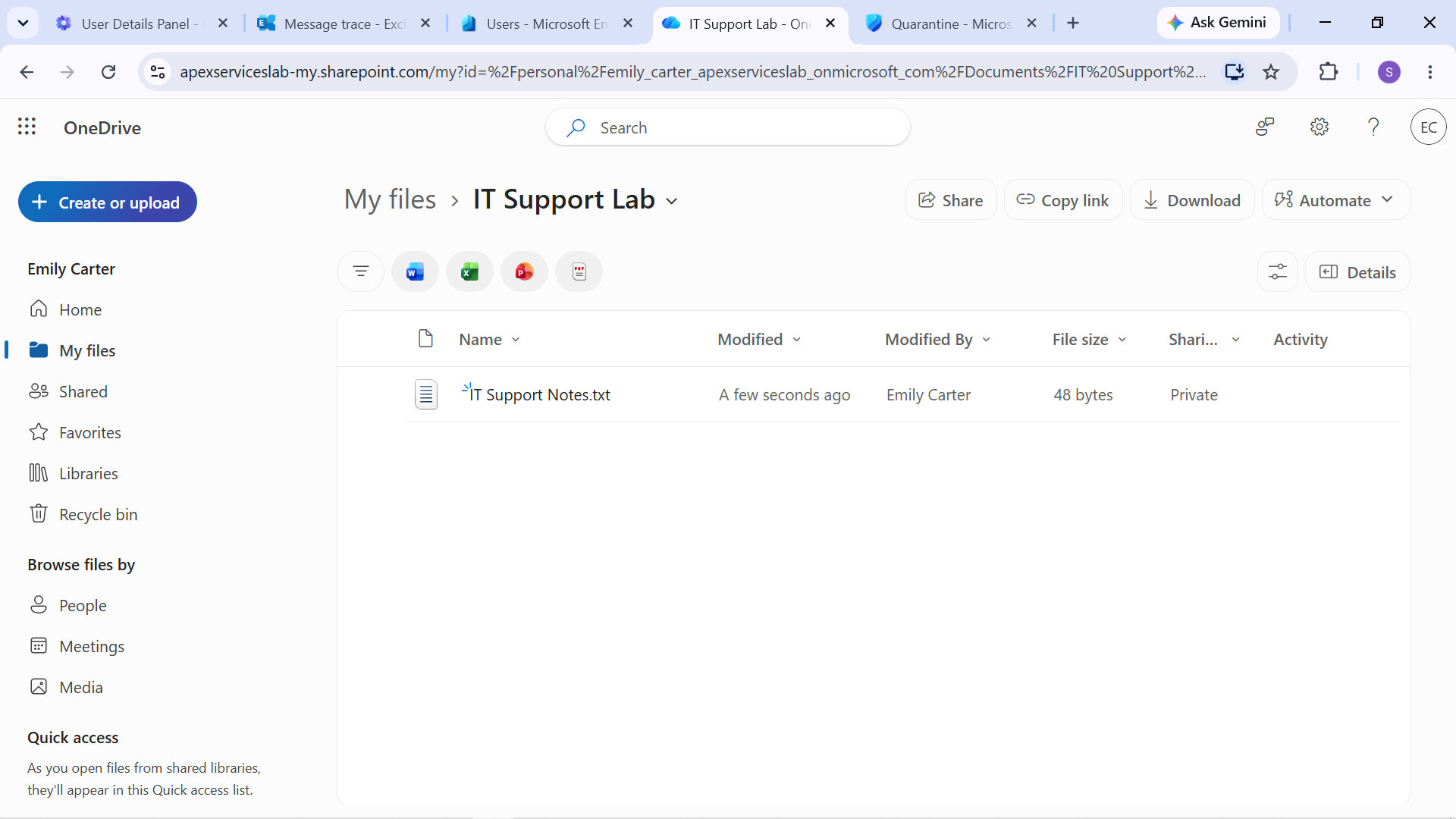 Emily OneDrive IT Support Lab